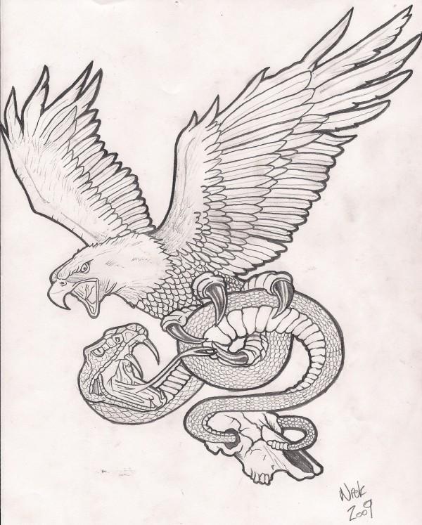 600x747 Grey Ink Eagle Snake Tattoo Design Line Drawing - Snake Line Drawing