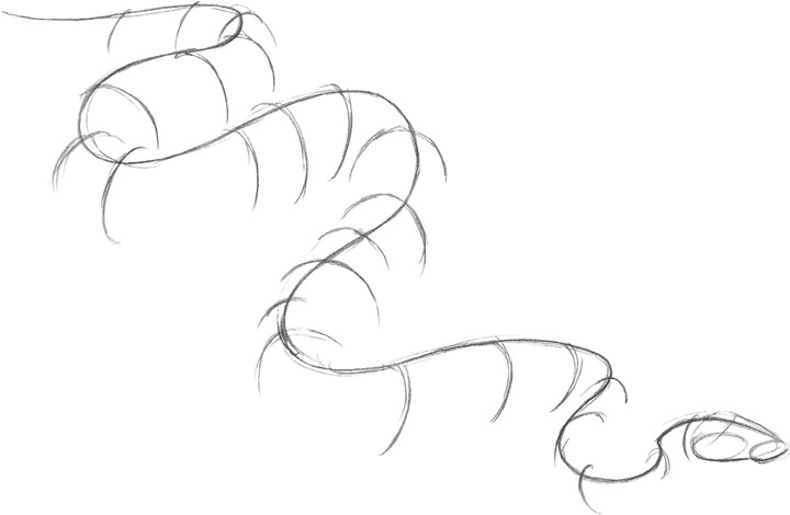 720x470 Snake - Snake Line Drawing