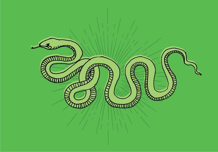 700x490 Snake Line Drawing - Snake Line Drawing