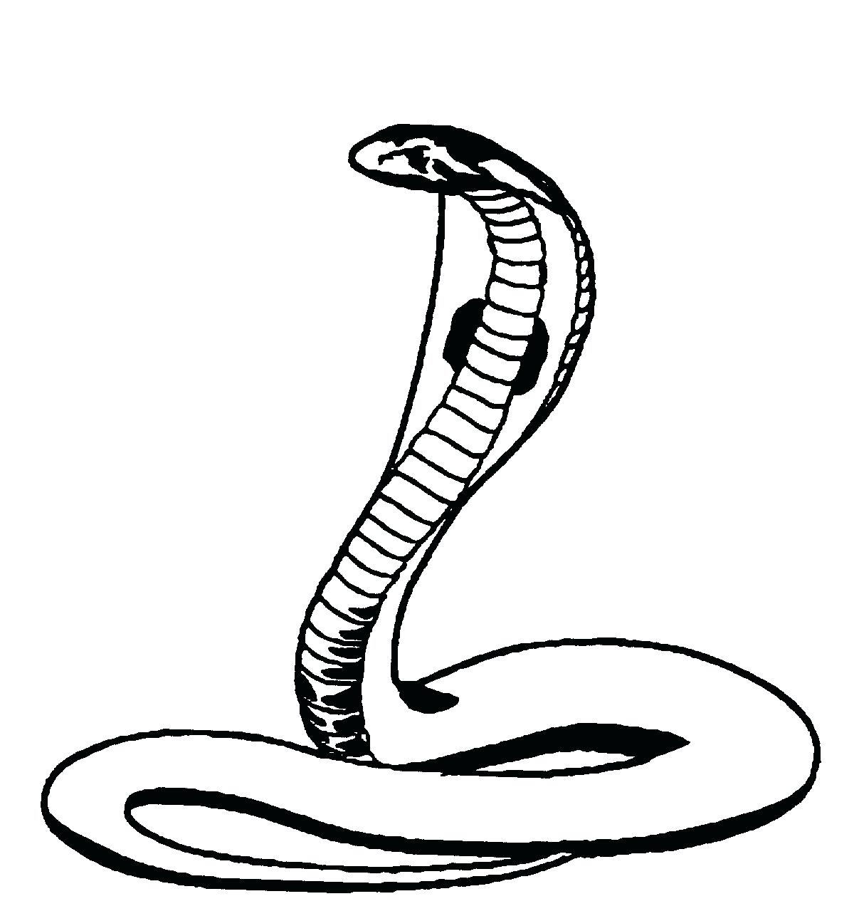 Snake Line Drawing at Explore collection of Snake