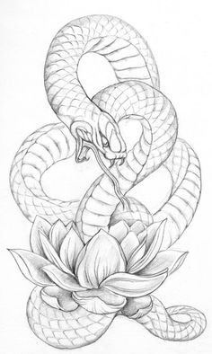 236x394 best snake drawing images snake drawing, drawings, snake art - Snake Line Drawing