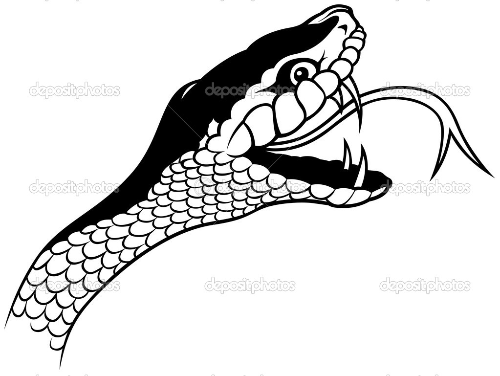 1023x769 Snake Tongue Clipart - Snake Mouth Drawing