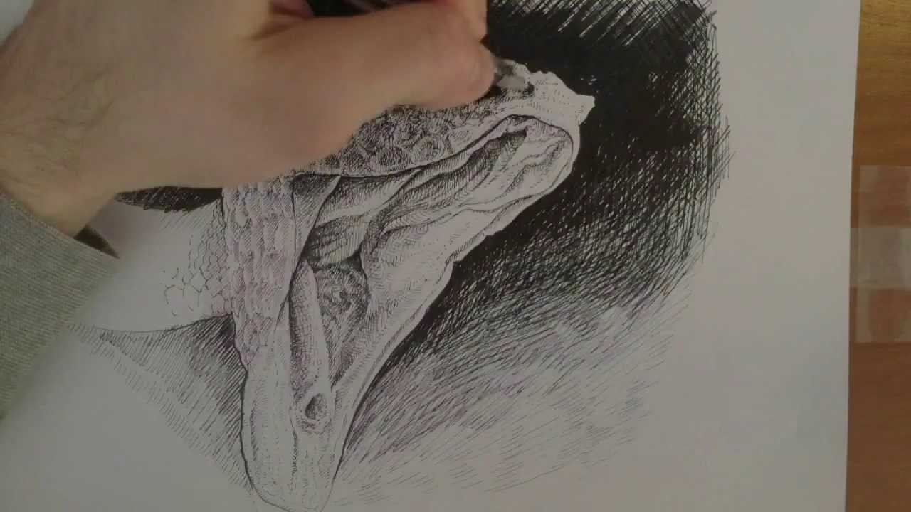 1280x720 Speed Drawing Snake With Open Mouth Judah Video - Snake Mouth Drawing