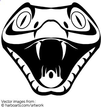 335x355 Download Snake Head - Snake Mouth Drawing
