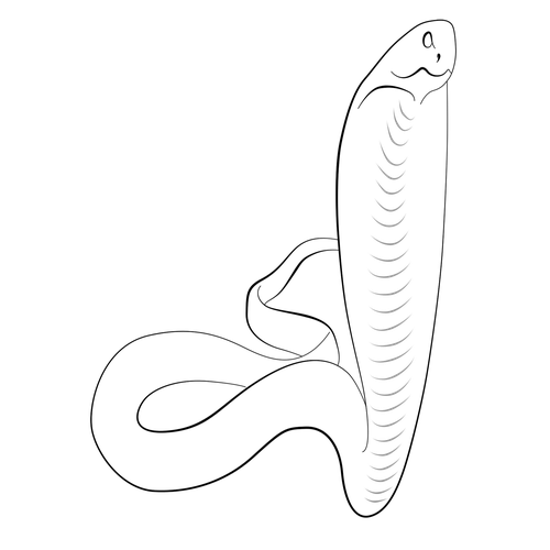 500x500 Collection Of Free Python Drawing Outline Download On Ui Ex - Snake Outline Drawing