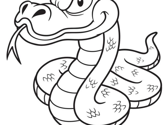 640x480 Drawn Snake Outline - Snake Outline Drawing