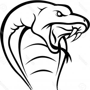 300x300 Snake Head Drawing Cobra Snake Head Royalty Free Cliparts Vectors - Snake Outline Drawing