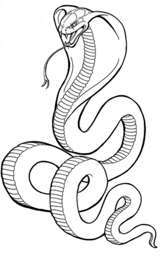 550x858 Snake Outline Drawing - Snake Outline Drawing