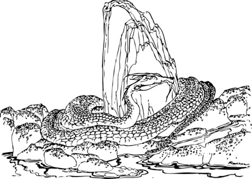 517x368 Snake Outline Drawing Free Vector Download - Snake Outline Drawing