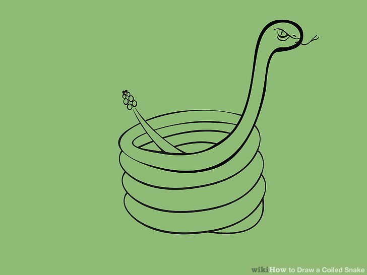 728x546 how to draw a coiled snake steps - Snake Picture Drawing
