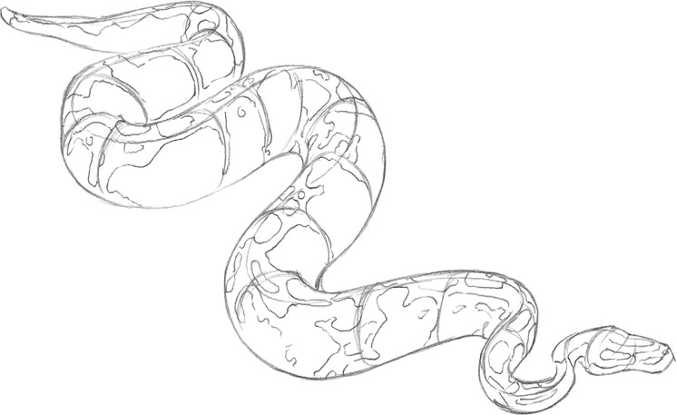 746x457 Snake - Snake Picture Drawing