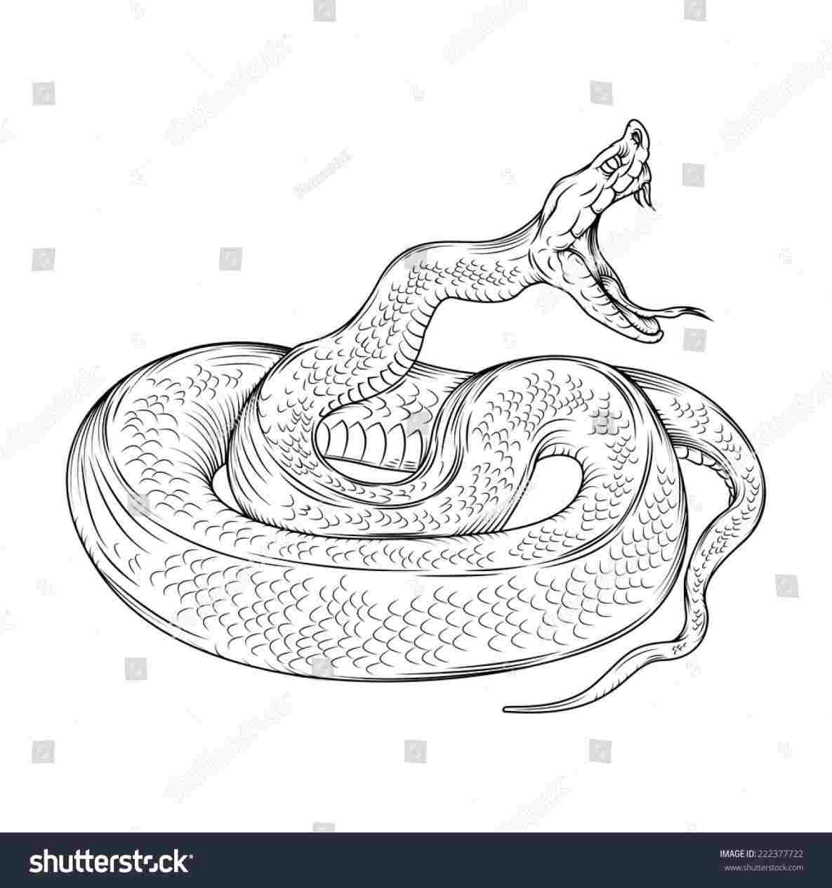 1185x1264 Snake Drawing Easy - Snake Picture Drawing