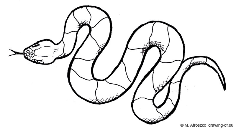 800x438 Snake Draw - Snake Picture Drawing