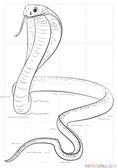 235x336 Snake Drawings For Kids King Cobra Coloring Pages Backyard - Snake Picture Drawing