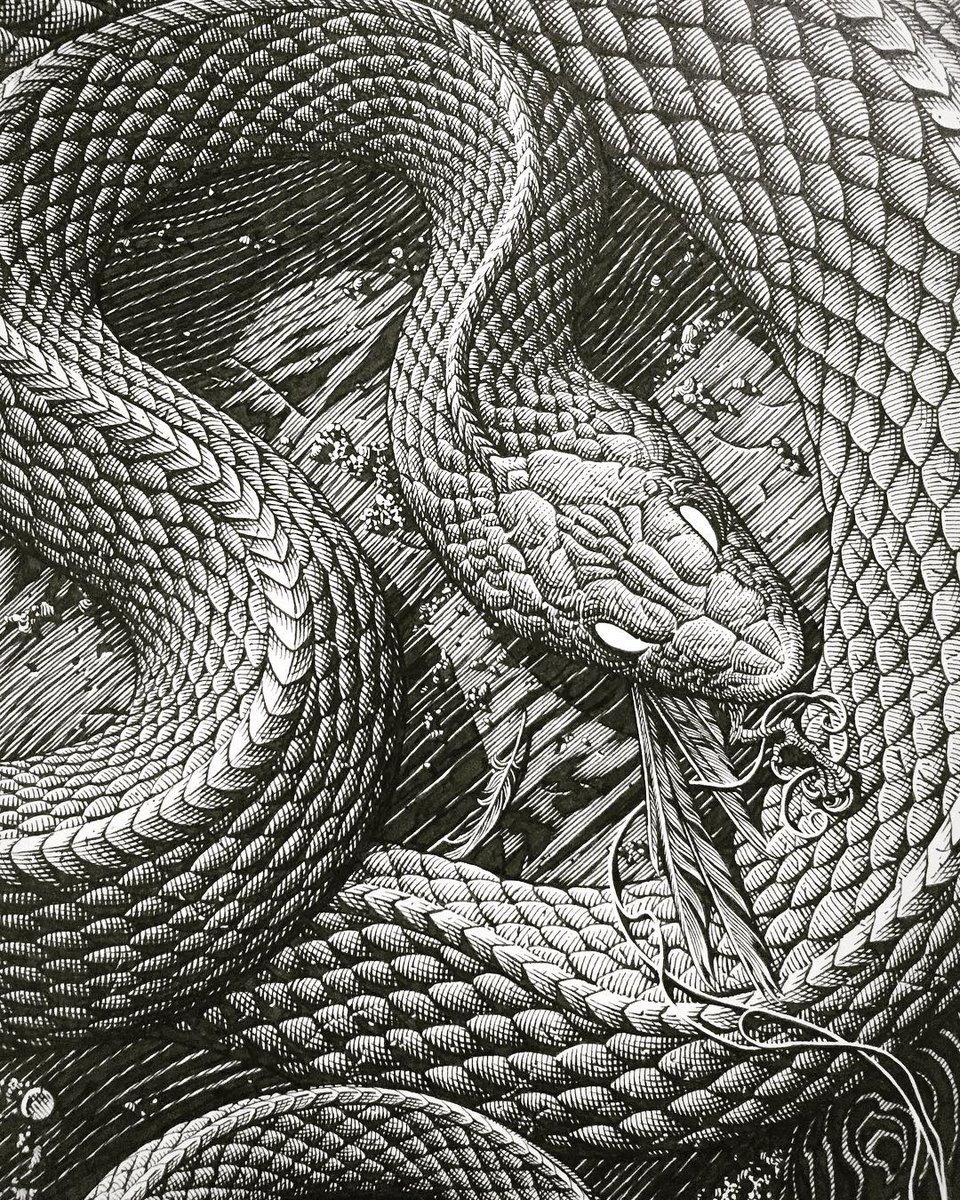 Snake Scales Drawing at Explore collection of