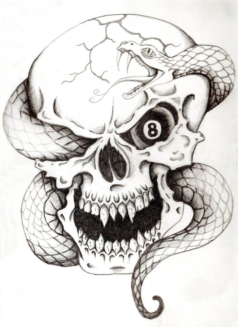 763x1047 Snake Drawing Skull For Free Download - Snake Skeleton Drawing