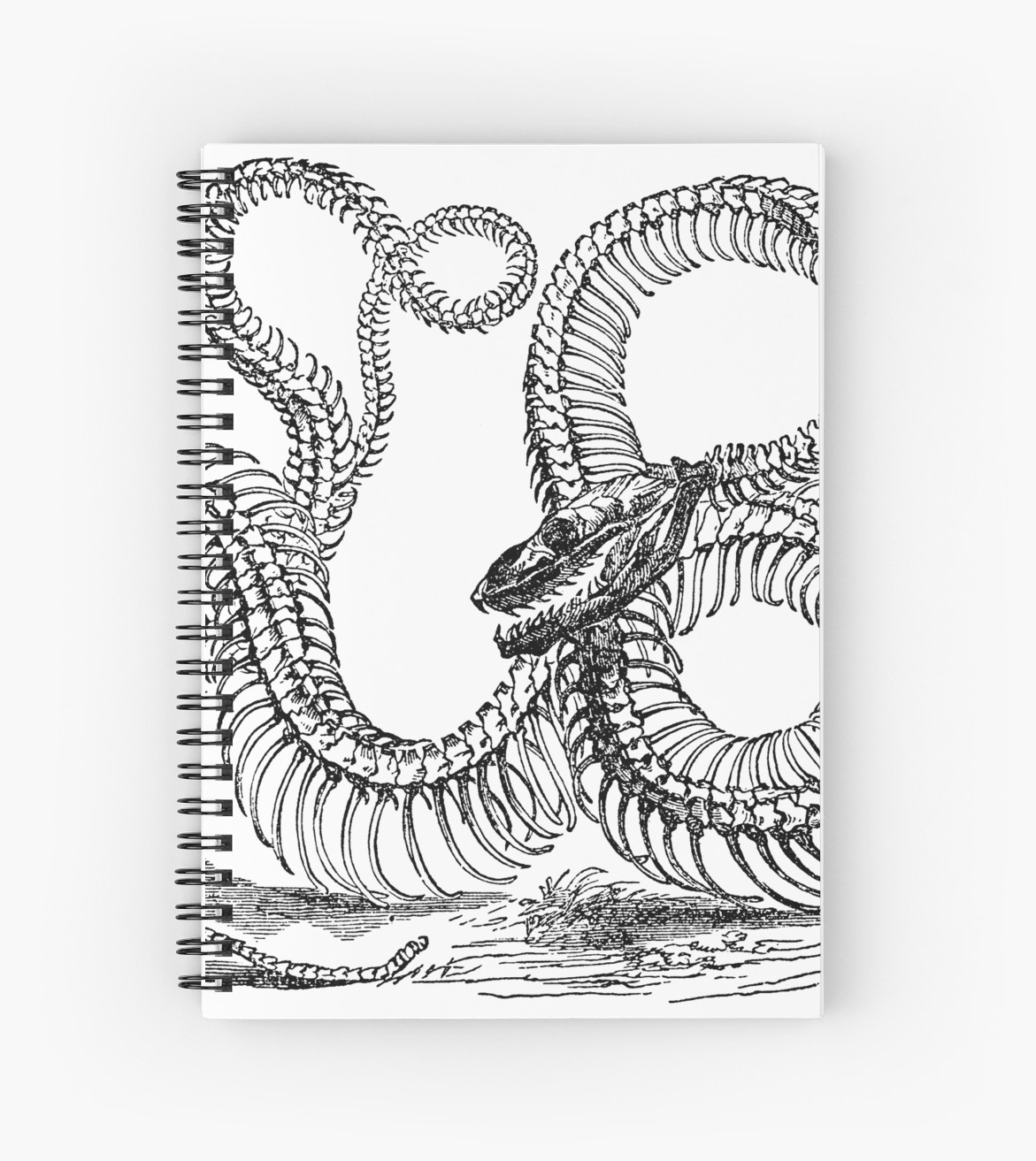 Snake Skeleton Drawing at PaintingValley.com | Explore collection of