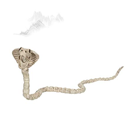 425x425 c k h snake skeleton skeleton simulation animal - Snake Skeleton Drawing