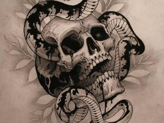 640x480 Drawn Snake Skull - Snake Skull Drawing