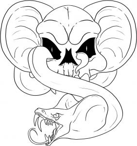 282x302 How To Draw A Snake Skull, Step - Snake Skull Drawing