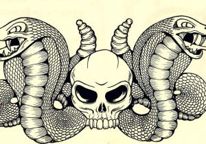 300x210 Skull Drawing With Snake Skull Python Snakes Snake Art - Snake Skull Drawing