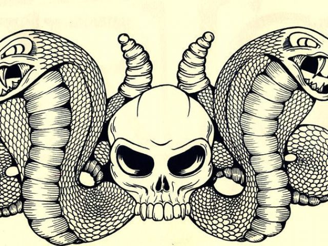 640x480 Skull Drawing With Snake Snakes Skulls Art Illustrations Skull - Snake Skull Drawing