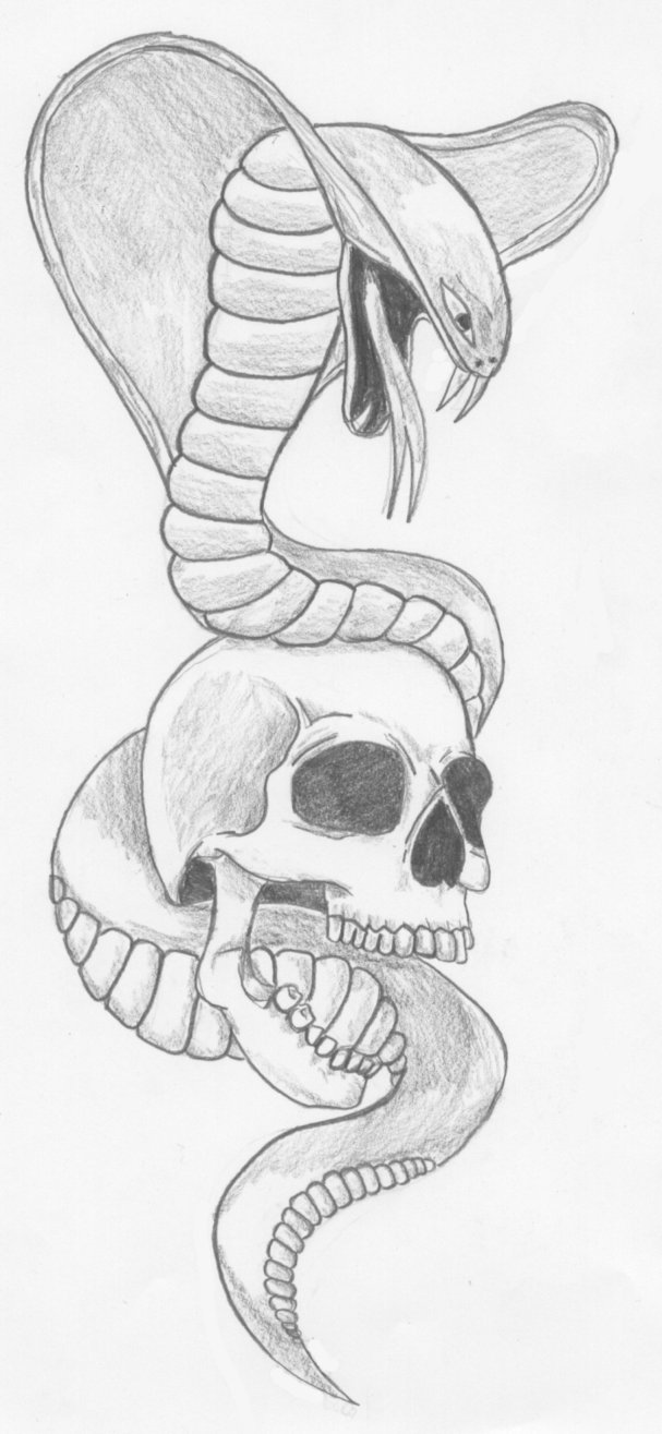 607x1315 Skull Snake Tat Free - Snake Skull Drawing