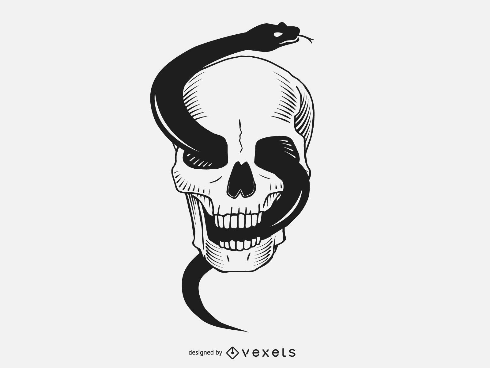 Snake Skull Drawing at PaintingValley.com | Explore collection of Snake ...