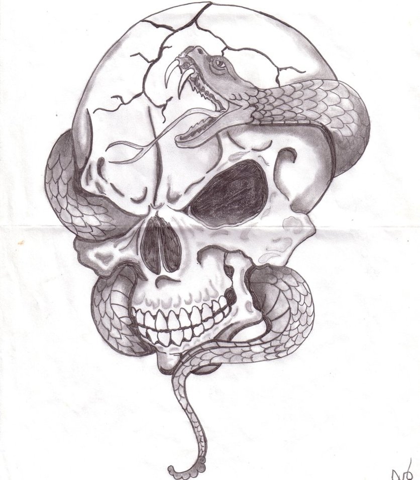 836x956 Skull With Snake - Snake Skull Drawing