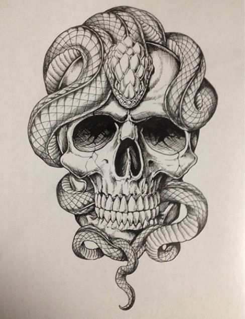488x635 Skull With Snakes Ideas Tattoos, Snake Tattoo, Tattoo Sketches - Snake Skull Drawing