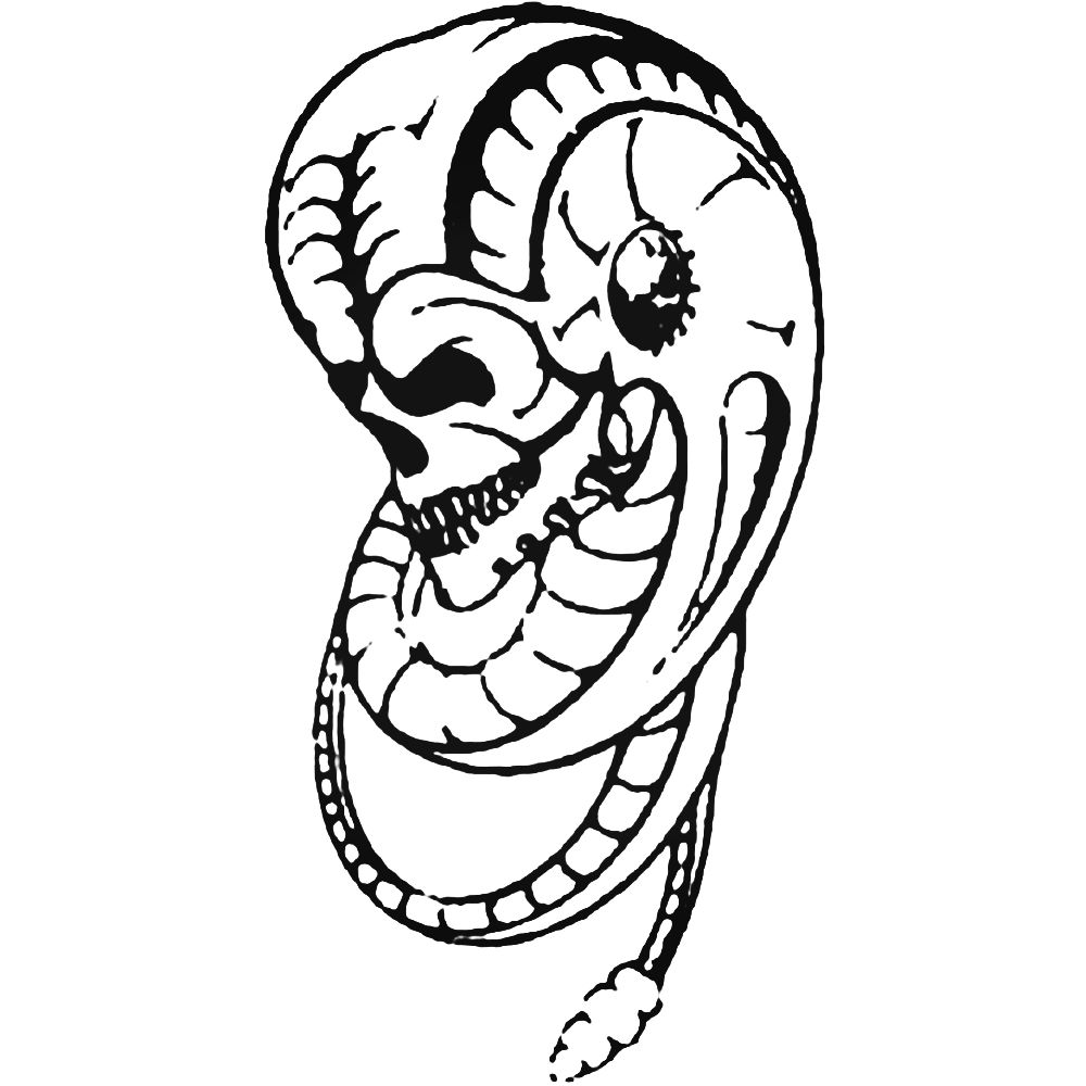 1000x1000 Snake Skull Decal Sticker - Snake Skull Drawing