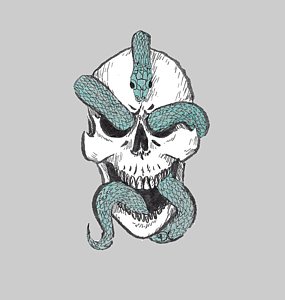 285x300 Snake Skull Drawings - Snake Skull Drawing
