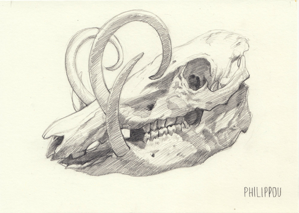 1000x714 Tony Philippou Kaledoskull Project Gallery - Snake Skull Drawing