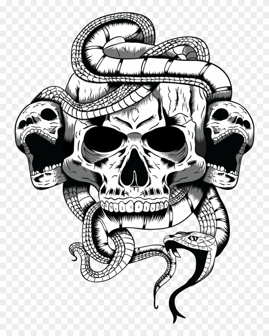 Snake Skull Drawing At Paintingvalley Com Explore Collection Of Snake