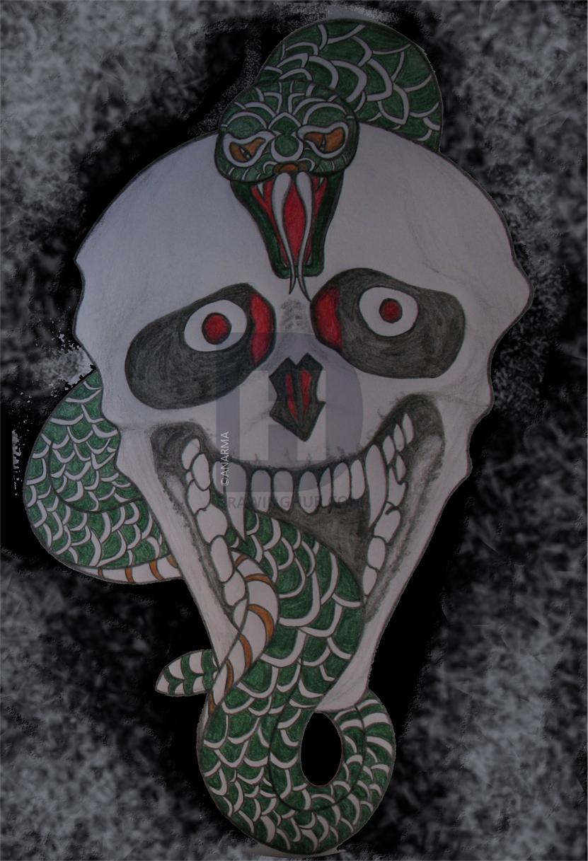 831x1217 Draw A Snake Skull, Step - Snake Skull Drawing
