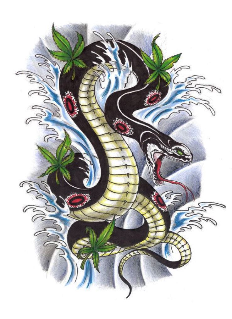 738x1015 Snake Tattoos Tattoofanblog - Snake Tattoo Drawing