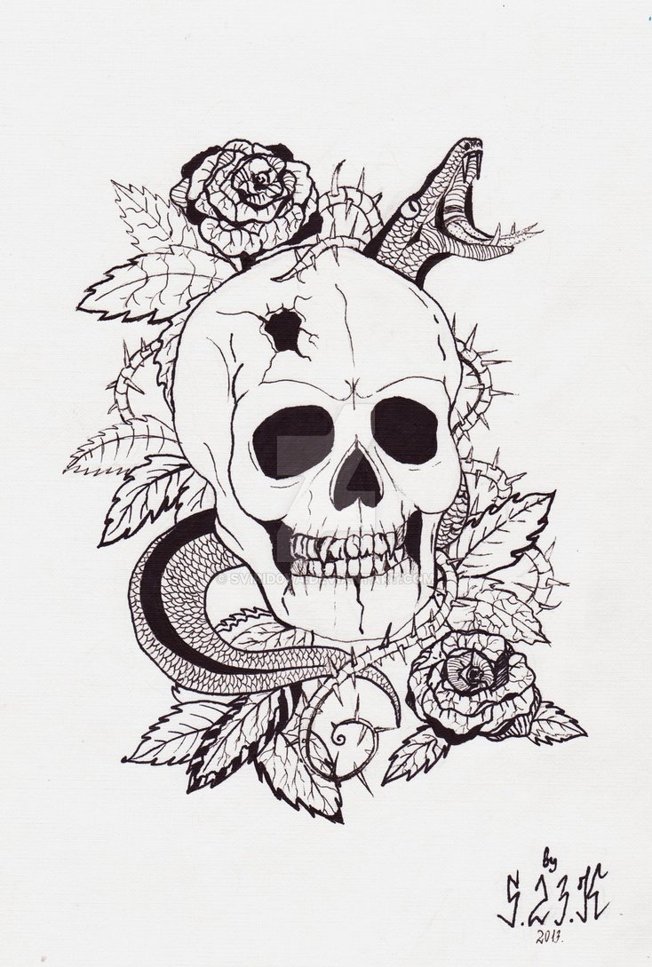 734x1089 Skull And Snake Tattoo Sketch - Snake Tattoo Drawing