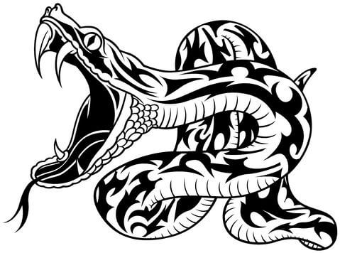 479x356 Snake Tattoo Designs - Snake Tattoo Drawing
