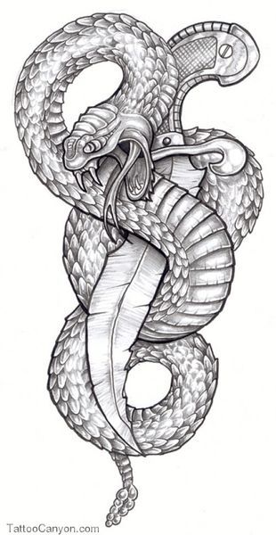 310x600 Snake Tattoo Designs Snake Art Tattoo Designs - Snake Tattoo Drawing