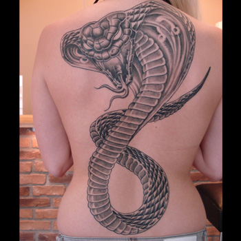 350x350 Snake Tattoo Meanings - Snake Tattoo Drawing