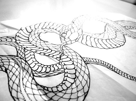 526x390 Snake Tattoo Drawing For Ashley Chris O'donnell Tattoo - Snake Tattoo Drawing