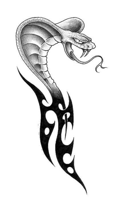 421x700 Snakes Tattoo Designs - Snake Tattoo Drawing