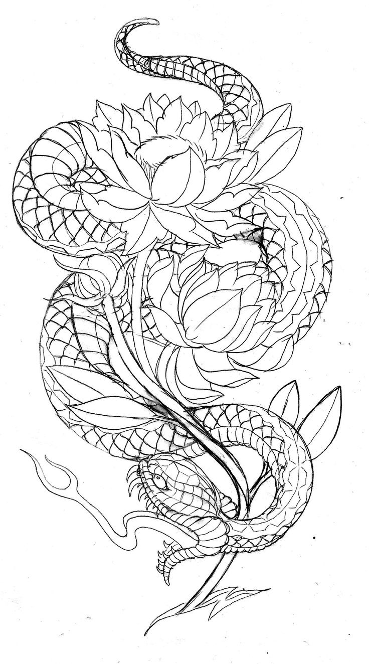 77+ Free Download Tattoo Design Snake Idea Tattoo Photos