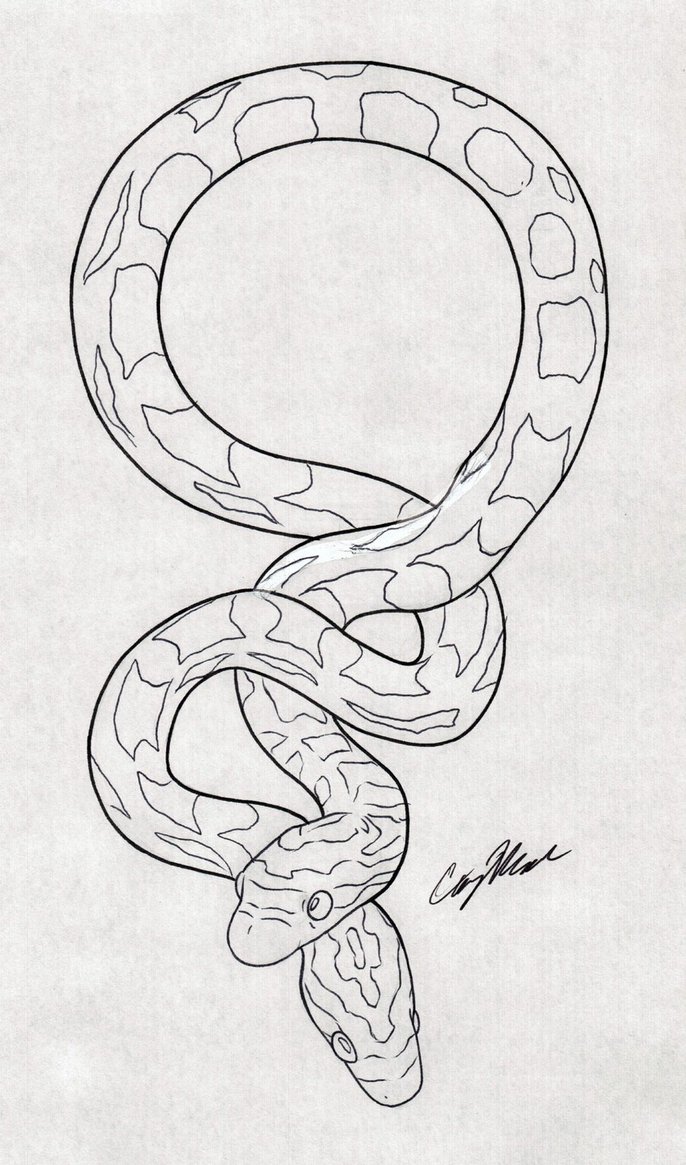686x1165 Snake Drawing Design For Free Download - Snake Tattoo Drawing