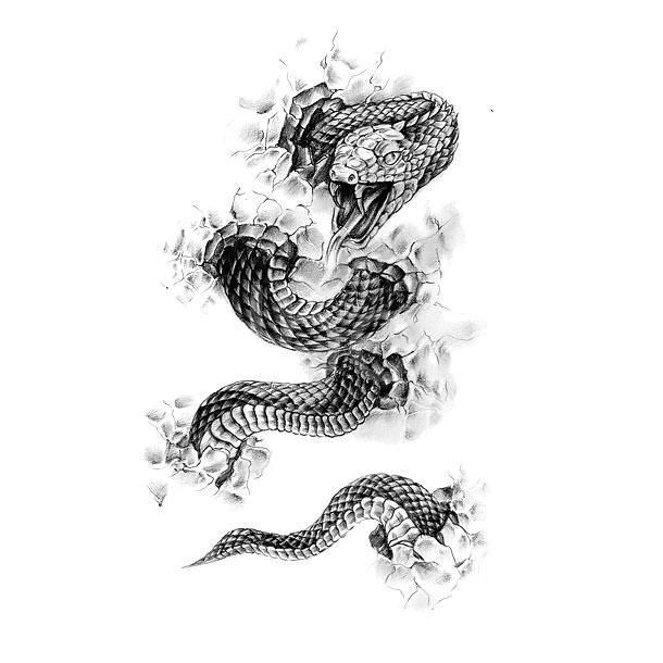 610x610 Nefertiti Drawing Snake For Free Download - Snake Tattoo Drawing
