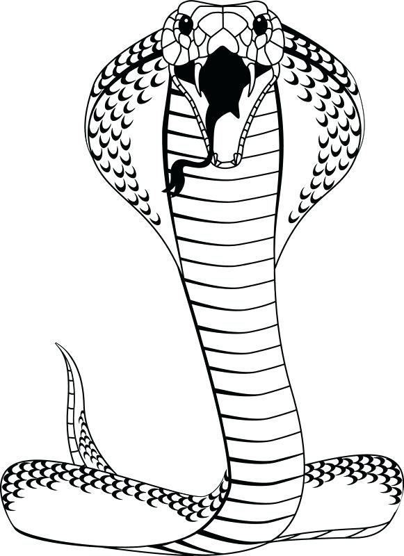 Open Mouth Creepy Snake Drawing