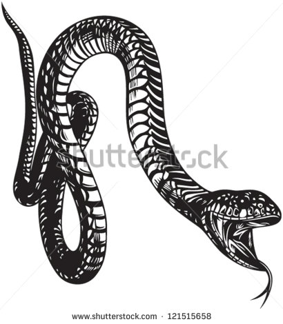410x470 Vector Black And White Snake Images - Snake With Mouth Open Drawing