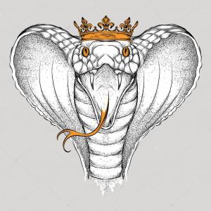 300x300 Photostock Vector A King Cobra Snake Head With Mouth Open - Snake With Mouth Open Drawing