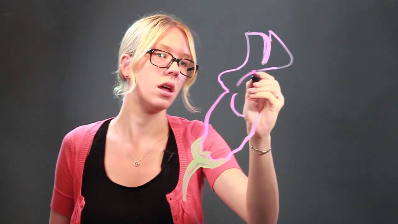 1280x720 how to draw a snapdragon flower petal - Snapdragon Drawing