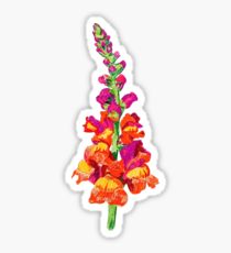 210x230 snapdragon stickers redbubble - Snapdragon Drawing